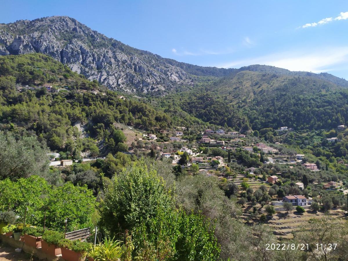 Appartement 2 Pieces - Le Berceau Castellar Exterior photo